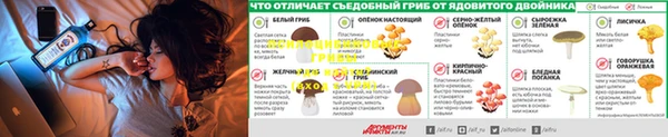 mdpv Баксан