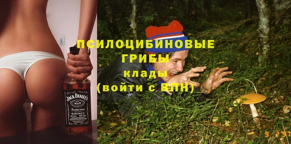 соль ск Балахна
