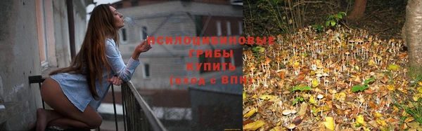 mdpv Баксан
