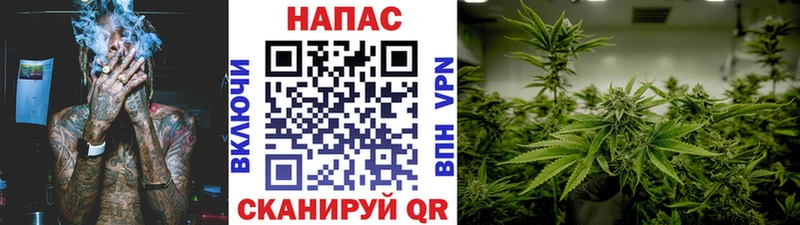 Конопля планчик  Козельск 